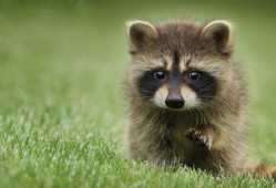 网络日志审计解决方案提供商