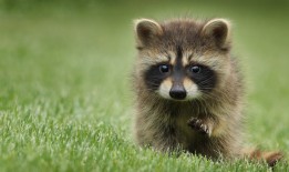 网络日志审计解决方案提供商