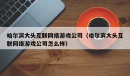 哈尔滨大头互联网络游戏公司（哈尔滨大头互联网络游戏公司怎么样）