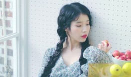 SEO快速排名与网站优化专业服务号