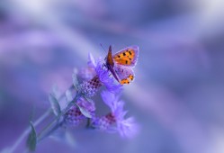 长沙优质网站营销推广服务推荐