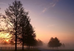 额敏建站技术优化与应用指南