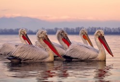 凤山网站建站技术规范与标准