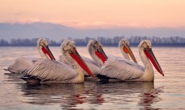 网站营销推广策略与技巧解析