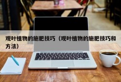 观叶植物的施肥技巧（观叶植物的施肥技巧和方法）