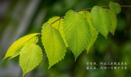 河南企业建站技术全解析