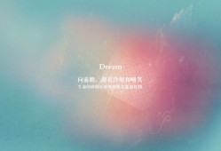 互联网络流程序详解与应用演示PPT