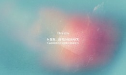 互联网络流程序详解与应用演示PPT