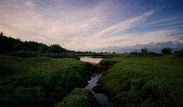 兰州SEO优化软件推荐：哪家更专业更高效？