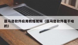 亚马逊软件应用教程视频（亚马逊软件是干啥的）