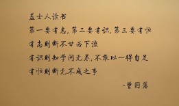 小学生如何科学合理地使用互联网