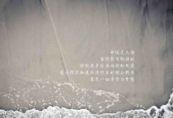 站长必看：全面建站实用指南