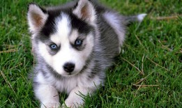 日照外贸网站建设技术规范