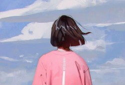 澧县网站建设技术解析