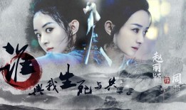 软件网站营销推广方案优化与实施策略