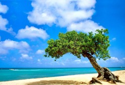 资兴地区网站推广与网络营销策略解析