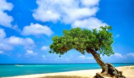 双机互联网络的搭建与配置方法