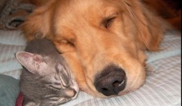 软件应用图片教程全图指南