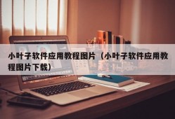 小叶子软件应用教程图片（小叶子软件应用教程图片下载）