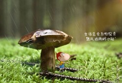 百度建站指南：打造高效优化的网站策略