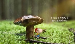 市南区网站SEO优化提升排名与营销策略