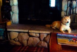 建站指南针纹身设计与意义解析