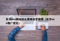 长沙seo网站优化费用信誉保障（长沙seo推广优化）