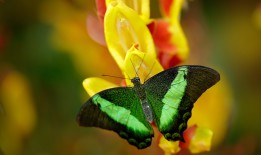 互联网络性能关键指标解析