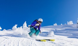 拨凉心情：感悟生活的点滴与思考