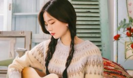 互联网络中心的功能与作用解析