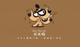 标准网络日志的优化与应用