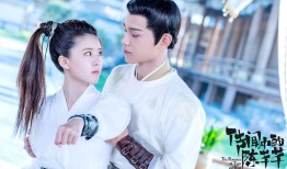 中拓互联网络公司的发展现状与评价分析