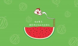 互联网络的工程视角分析