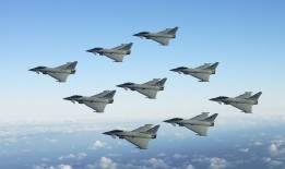 科学网络日志：含羞草的奇妙世界