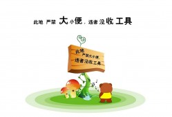 网站构建与开发技术解析