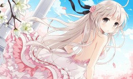 Shopify建站从零开始：新手必看的入门教程