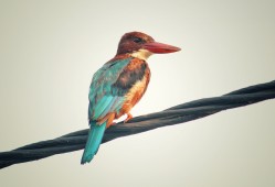 建站技术选型：如何选择最适合的网站构建方案