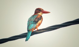 西安自助建站技术全解析