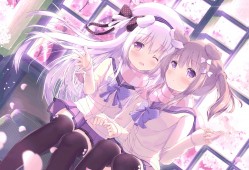 高州网站SEO优化提升方法与技巧