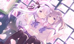 俞锋琴的网络日记