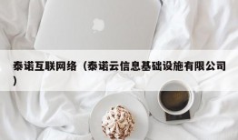 泰诺互联网络（泰诺云信息基础设施有限公司）