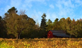 洛阳SEO网站优化工具推荐与使用指南
