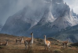 建站技术：Web开发入门与实践指南