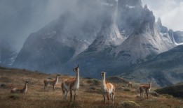 网络建站技术方案优化与实施策略