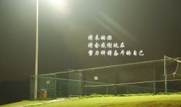 PPS影视自助建站全流程详解