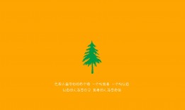 WordPress建站从入门到精通的完整指南