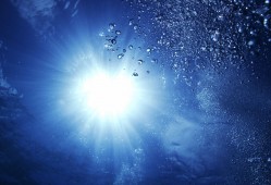 道路CAD软件应用与操作指南