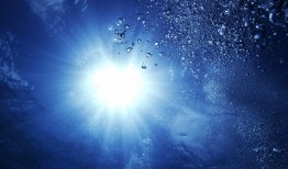 三年级网络日志