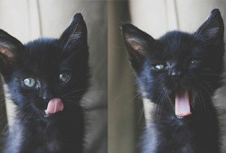 如何顺利搬迁并优化SEO的网站