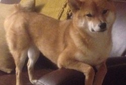 登创互联网络有限公司